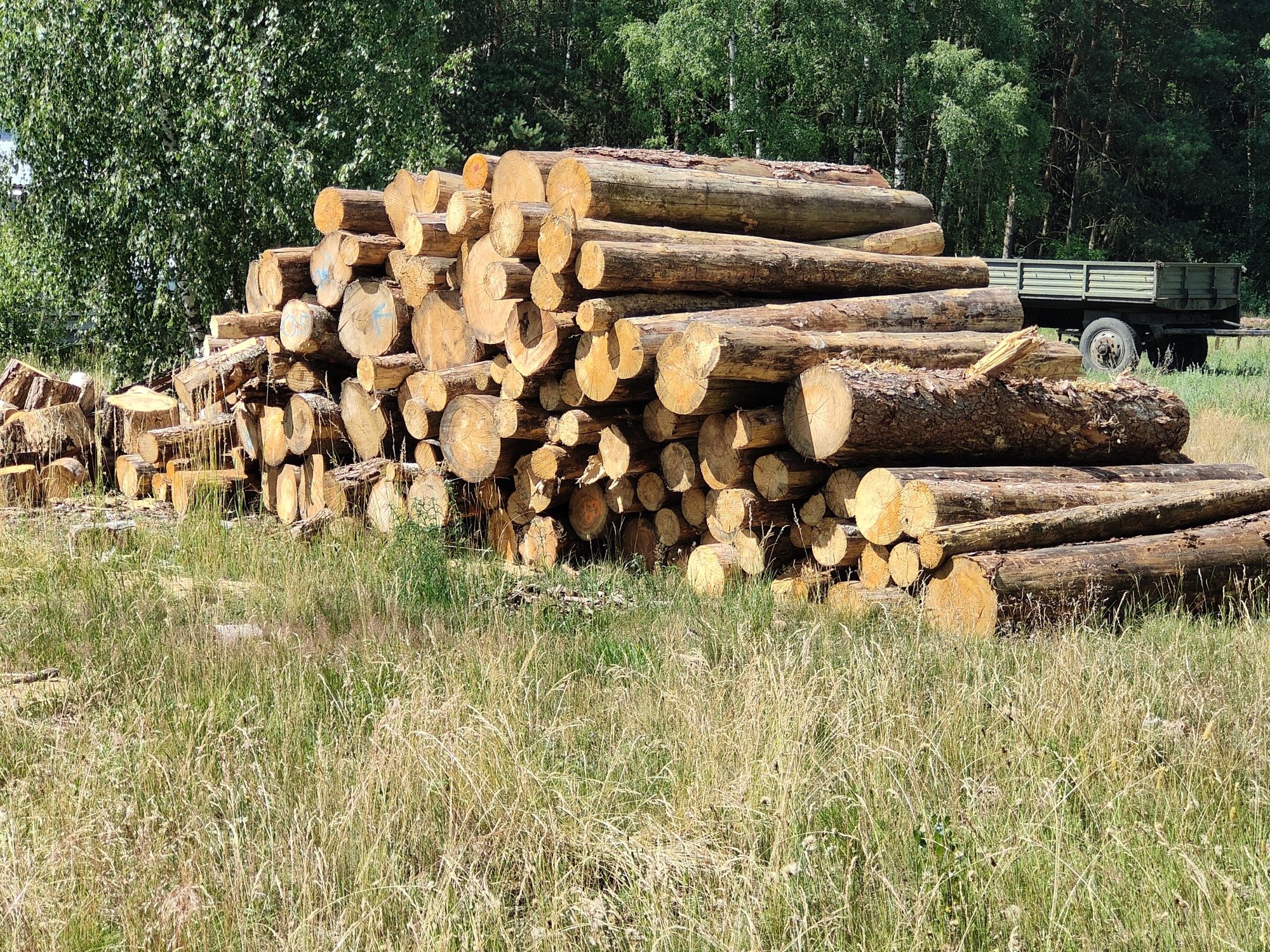 Drewno  opałowe Buk-Brzoza-Sosna