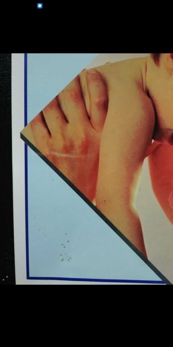 Guia Prático da Gravidez, de Émile Papiernik