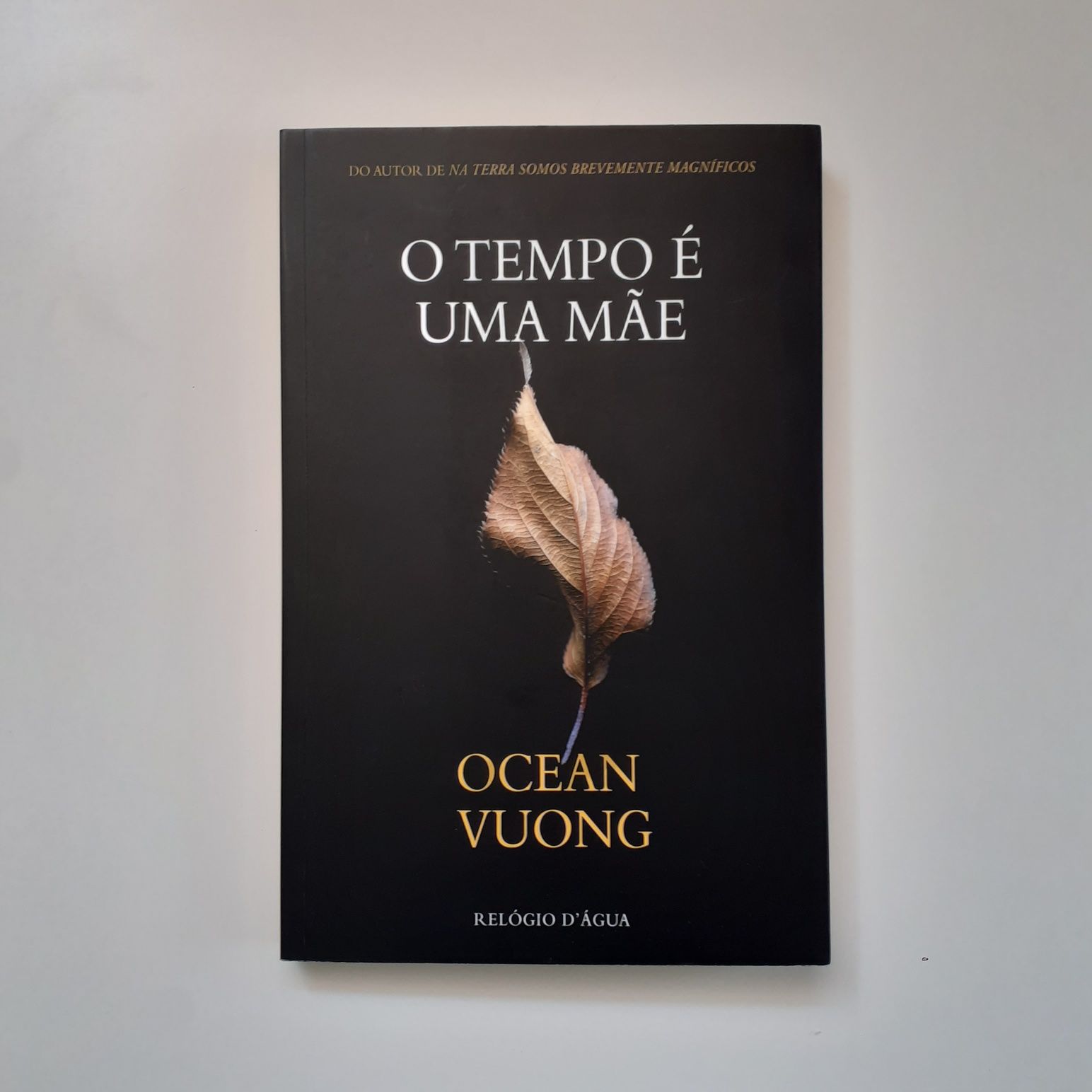 O Tempo é uma Mãe - Ocean Vuong