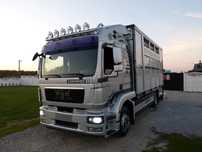 MAN TGM 15.290 DO ŻYWCA / ZWIERZĄT / BYDŁA / TRZODY CHLEWNEJ / WAGA EL. / NA PODUSZKACH / EURO 5 / DMC 16.000 KG