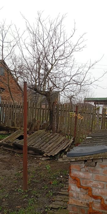 Віддам дерева на дрова