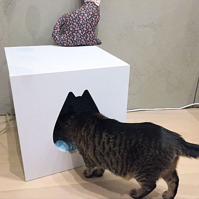 Premium budka dla kota FLUFFY biała, legowisko, domek! Warszawa