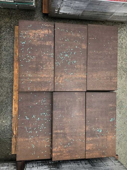 Płytka tarasowa chodnikowa JADAR Colorblend 60x30x4,5cm