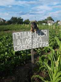 Земельна ділянка Фастів