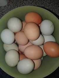 ovos     caseiros