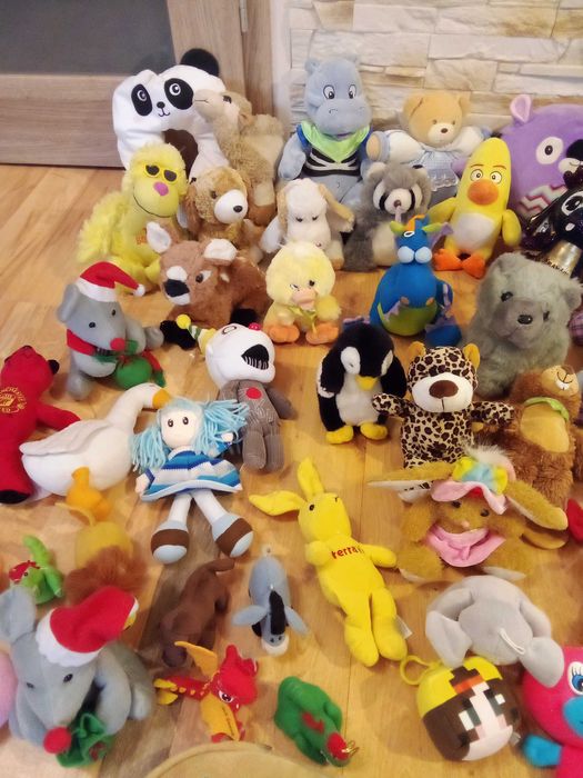 Maskotka pies piesek kot  maskotki kotek pluszak