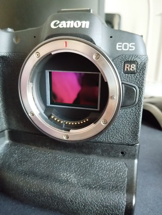Canon R8 (preço baixo só esta semana) + 4 baterias + 2 carregadores +