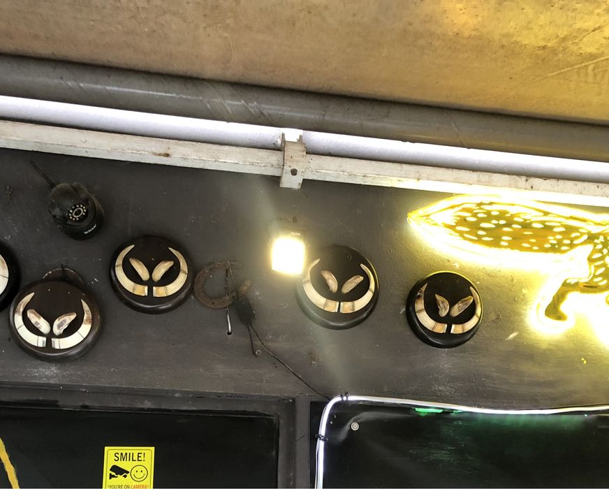 Dentes e cornos de javal