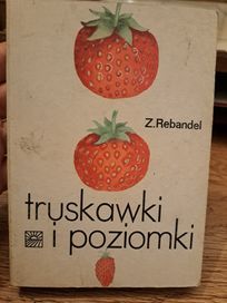 Książka truskawki i poziomki 16