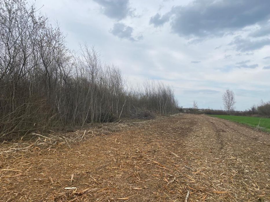 Mulczer leśny wgłębny powierzchniowy mulczowanie wycinka drzew działek