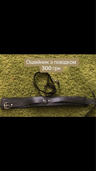 Ошейник з повідком