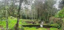 Terreno  para venda