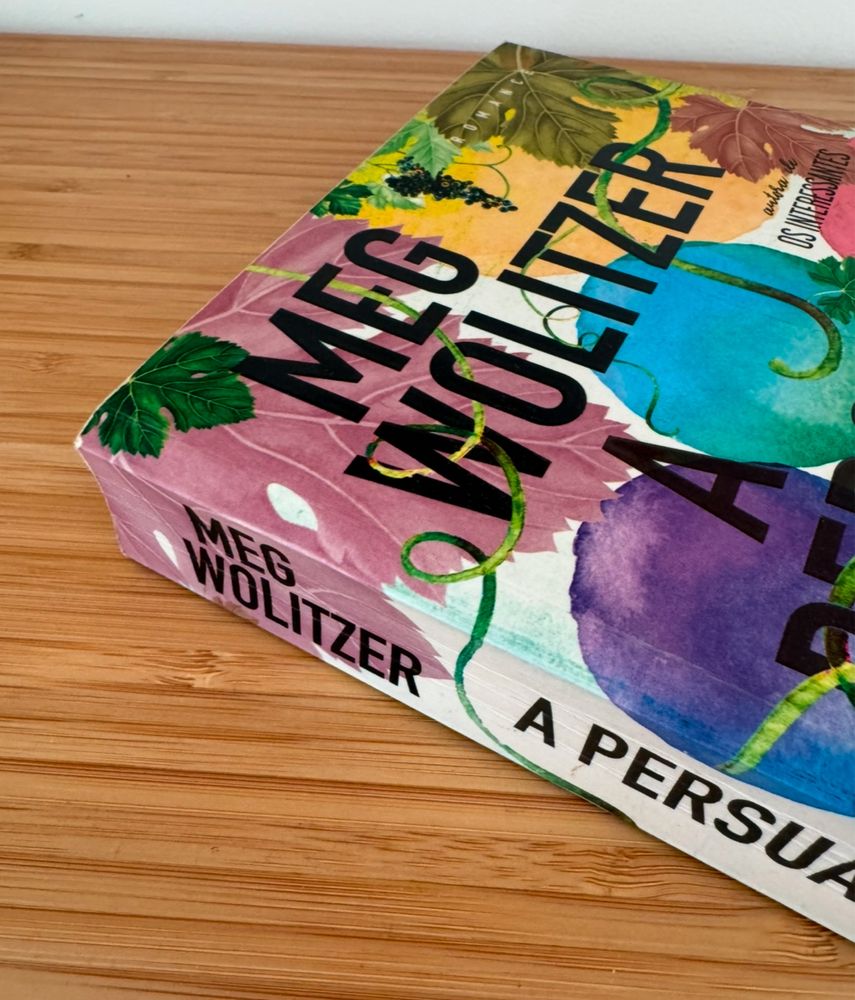 Livro “A Persusão Feminina” de Meg Wolitzer