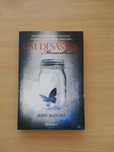 Livro "Um desastre maravilhoso" de Jamie McGuire