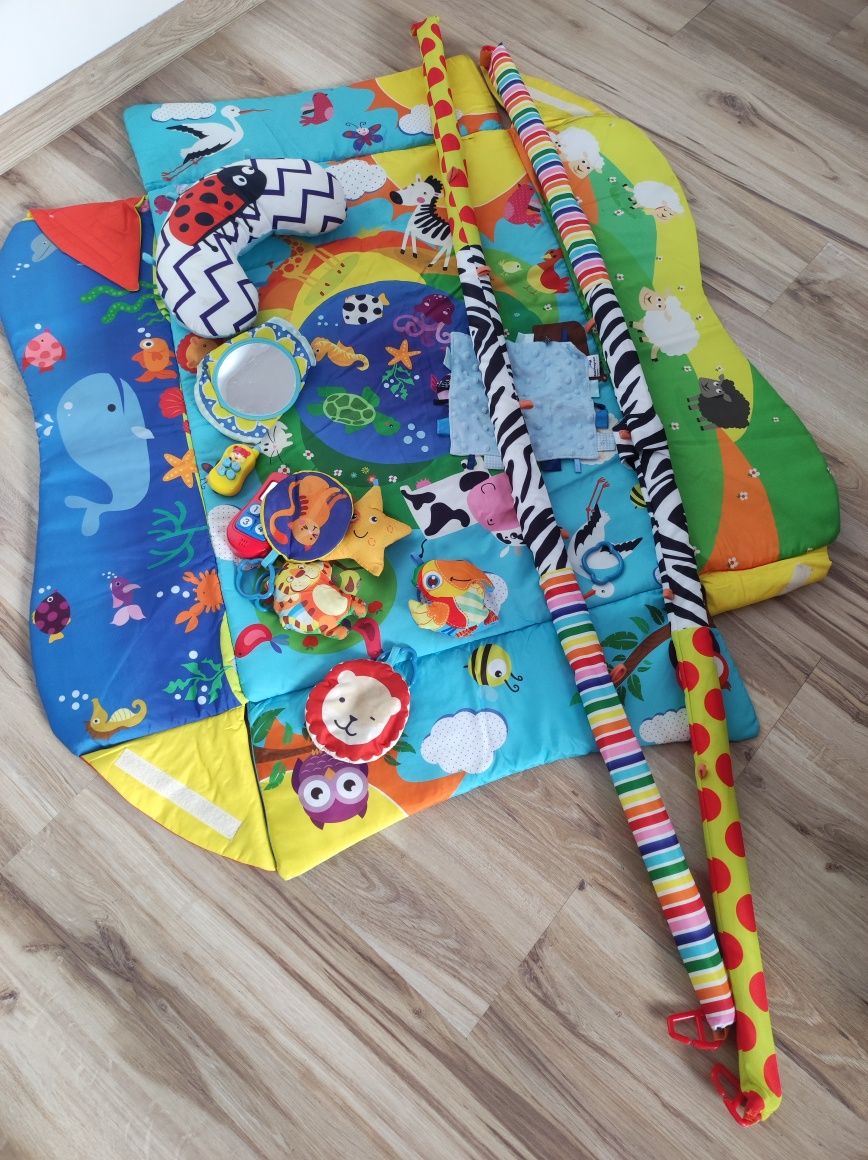 Mata edukacyjna Lionelo Anika 2 w 1

Rozwija zmysły i zdolności manual