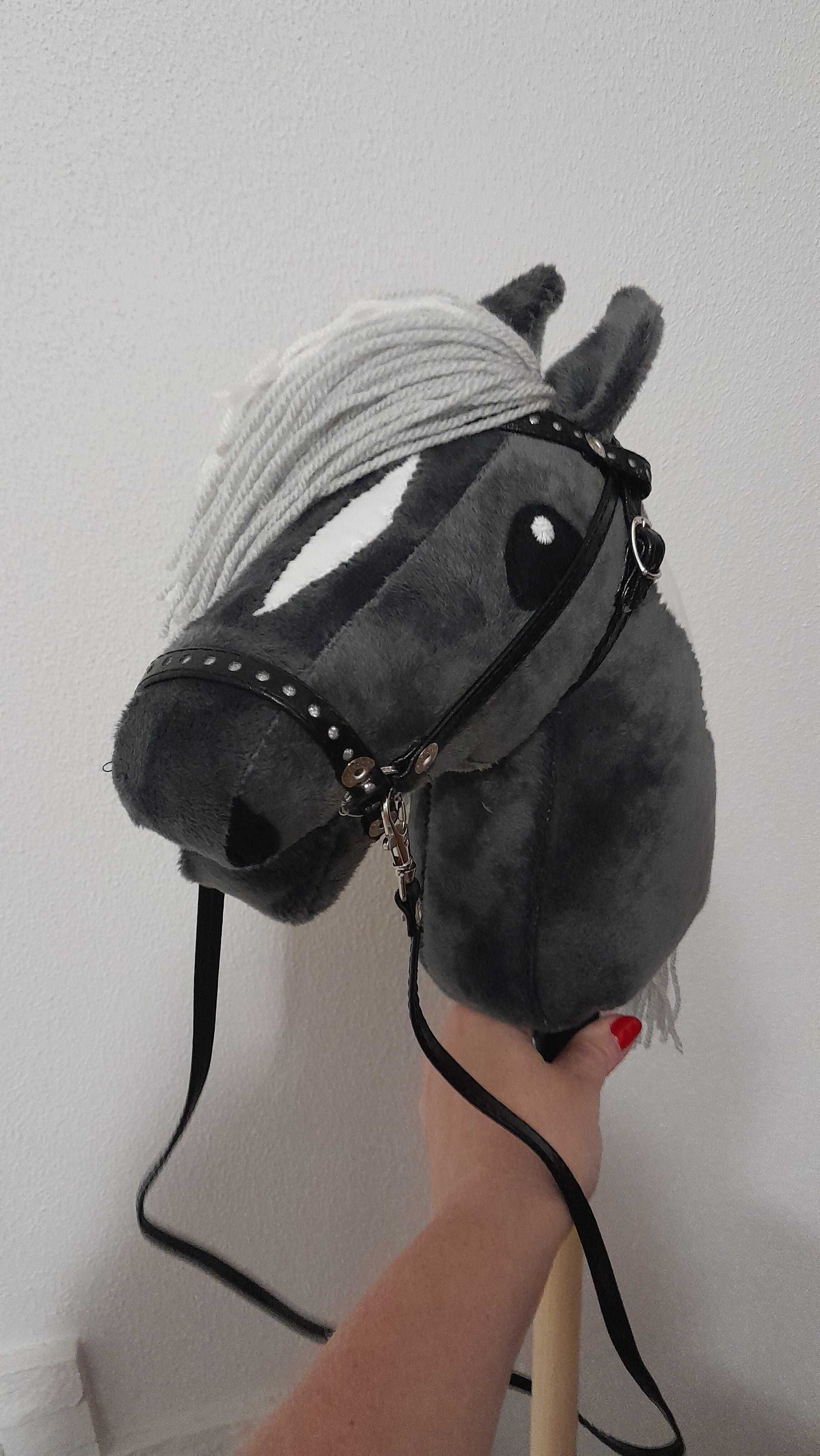 Hobby horse konik