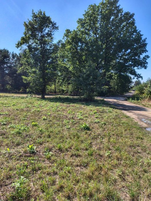 Działka budowlana w Cięciwie