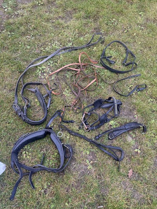 Uprzaz szory dla kucyka