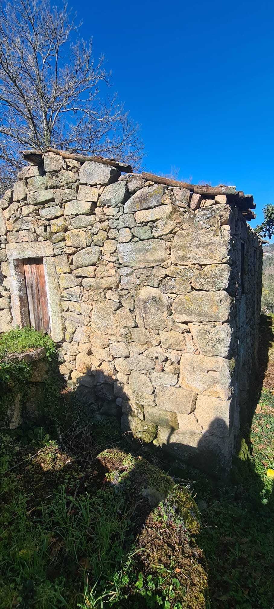 Quinta com 3.000 m2, com Ruínas em Pedra para Restaurar e Pomar