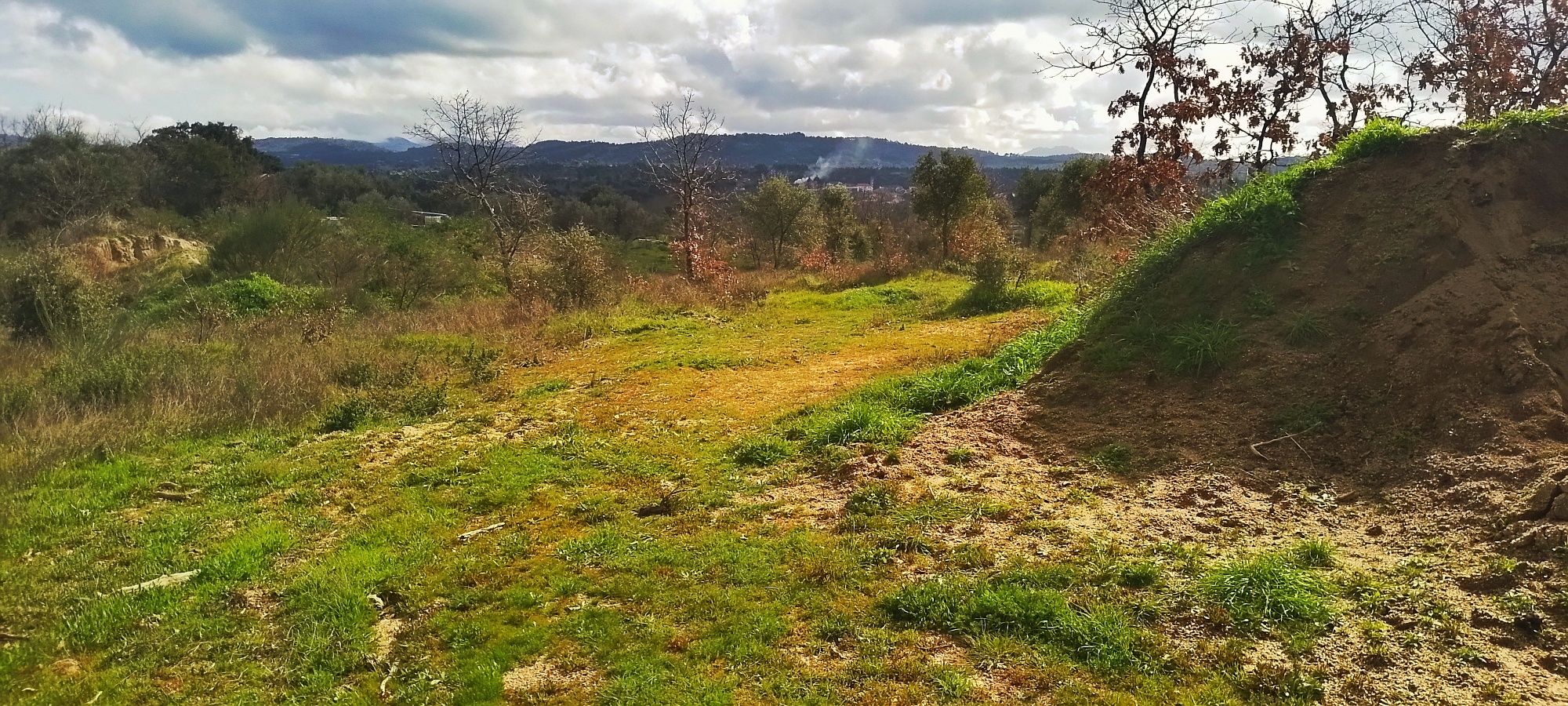 Terreno Rústico/ Agricultural Land