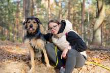 Pies Piksel do adopcji