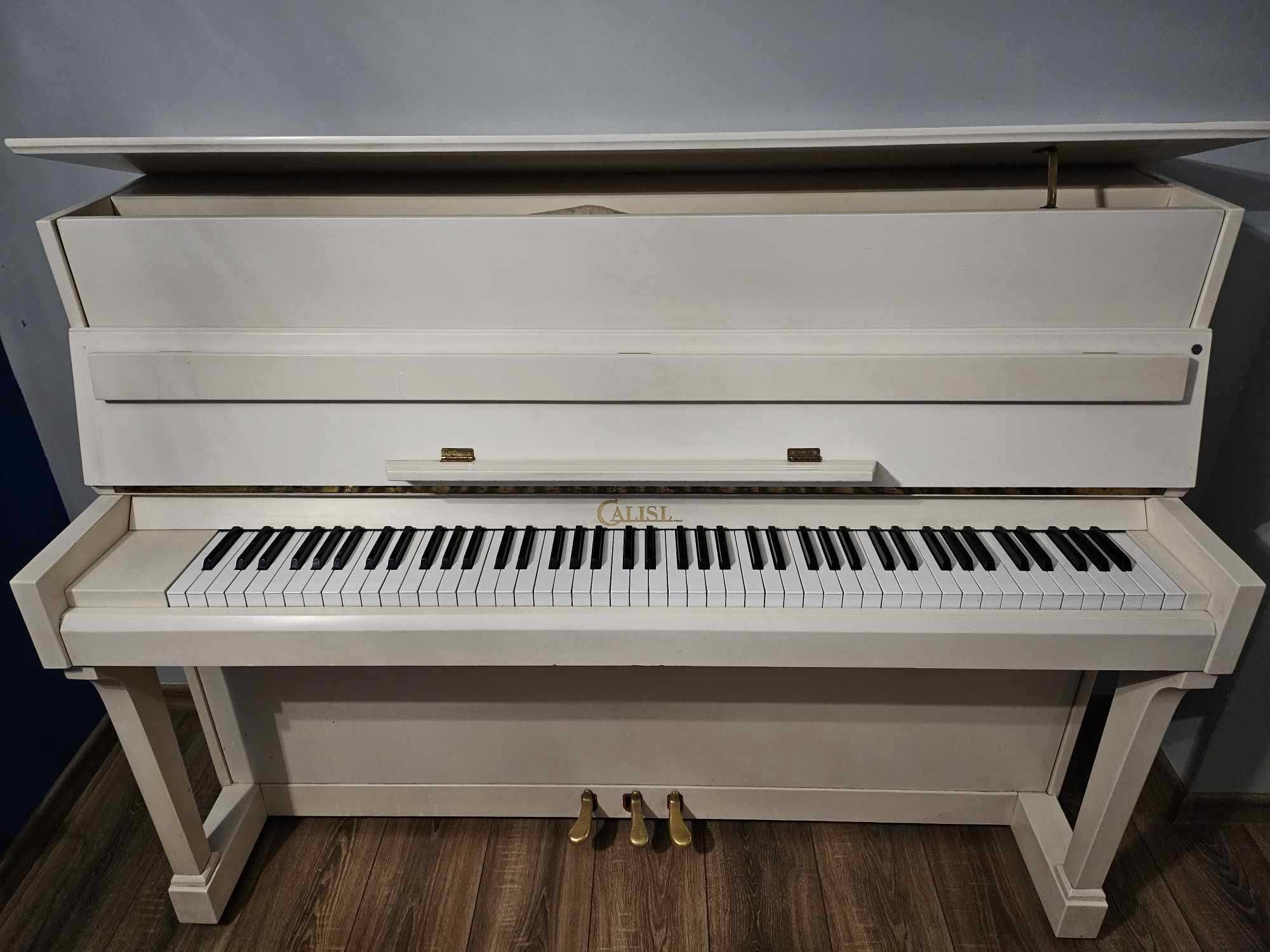 Białe Pianino Polskiej marki Calisia - najwyższy model M-122 Rapsodia