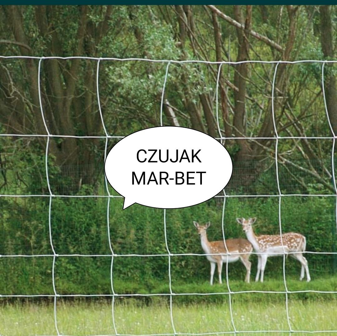 15 lat Czujak Techniczne ogrodzenia ogrodzenia z siatki leśnej