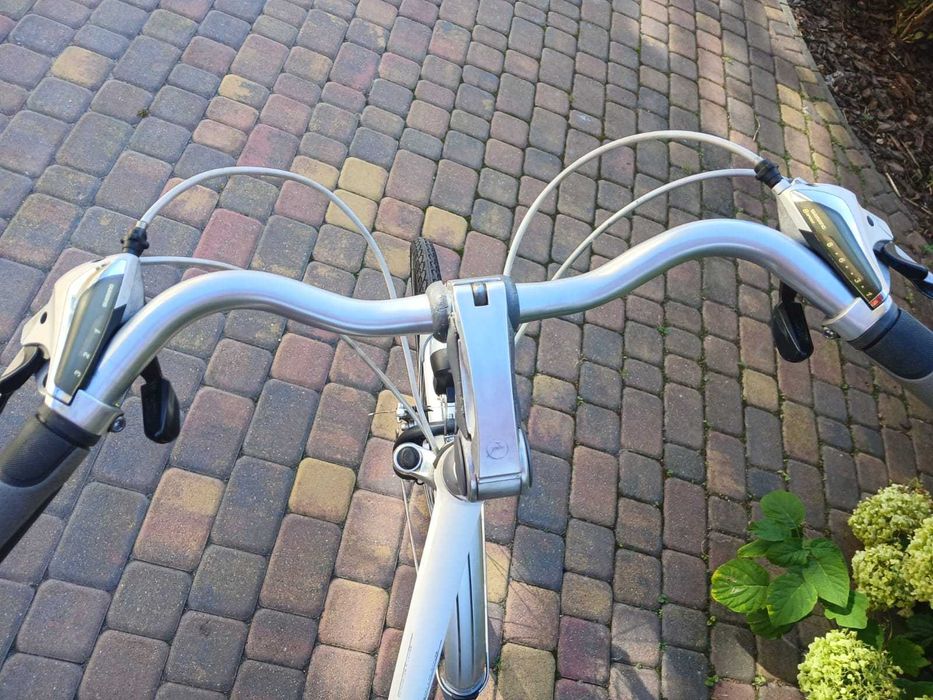 Gazelle fuente z Holandii