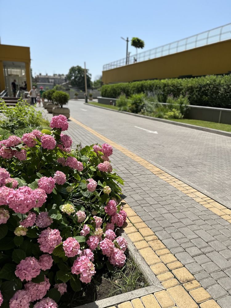 Квартира в ЖК Михайловский Городок