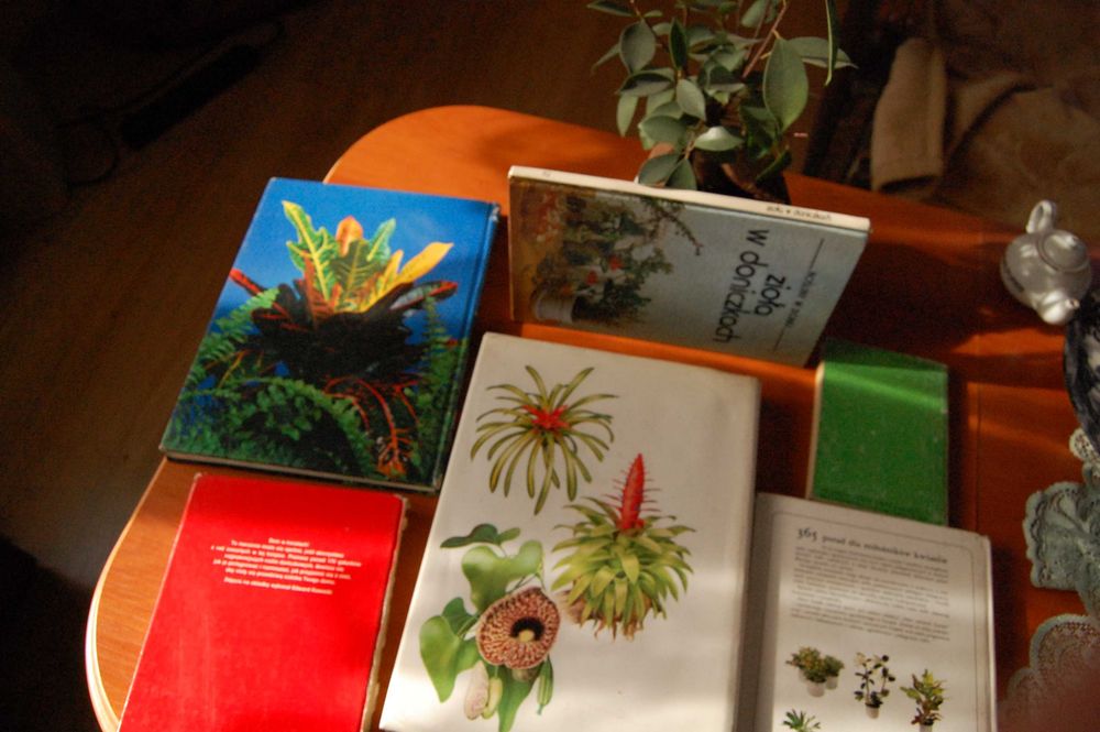 Kieszonkowa encyklopedia praktycznej uprawy roślin domowych.