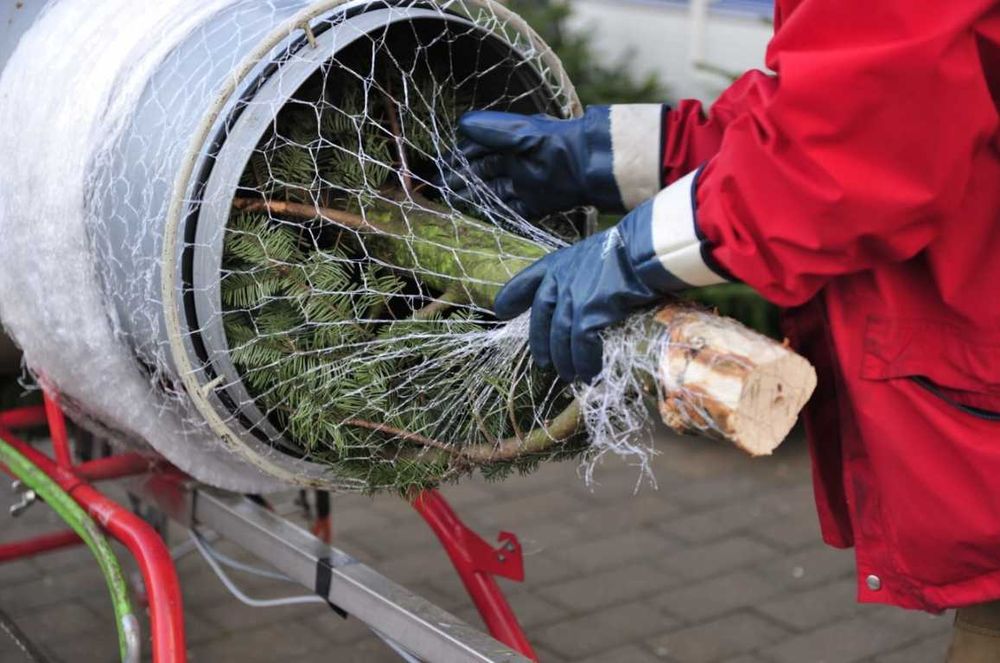 ‼️Сітка для пакування ялинок та сосен Timberten LZ 55