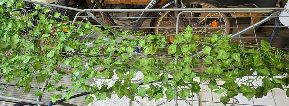 Sztuczny bluszcz 50 m na ścianę balkon taras dekoracja 50 metrów