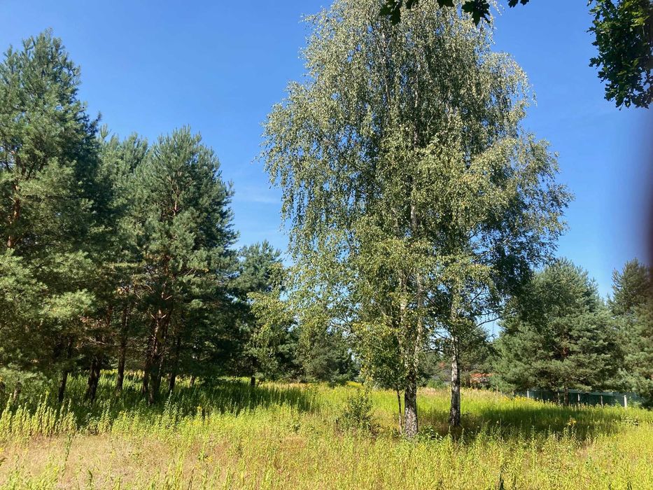 Piekna dzialka Warszawa Aleksandrów na sprzedaz