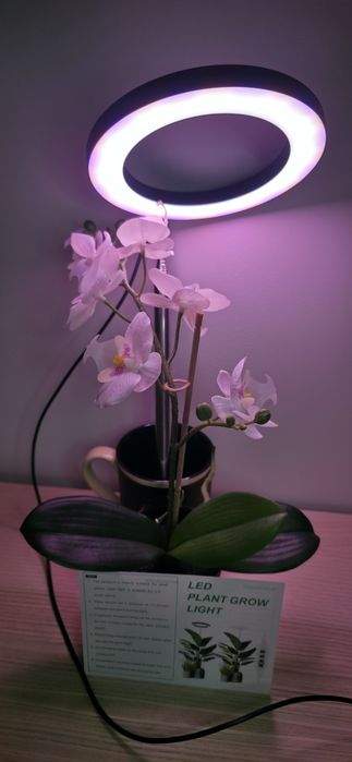 Nowa Lampa LED do Wzrostu Roślin "Halo" z Timerem i Ściemniaczem