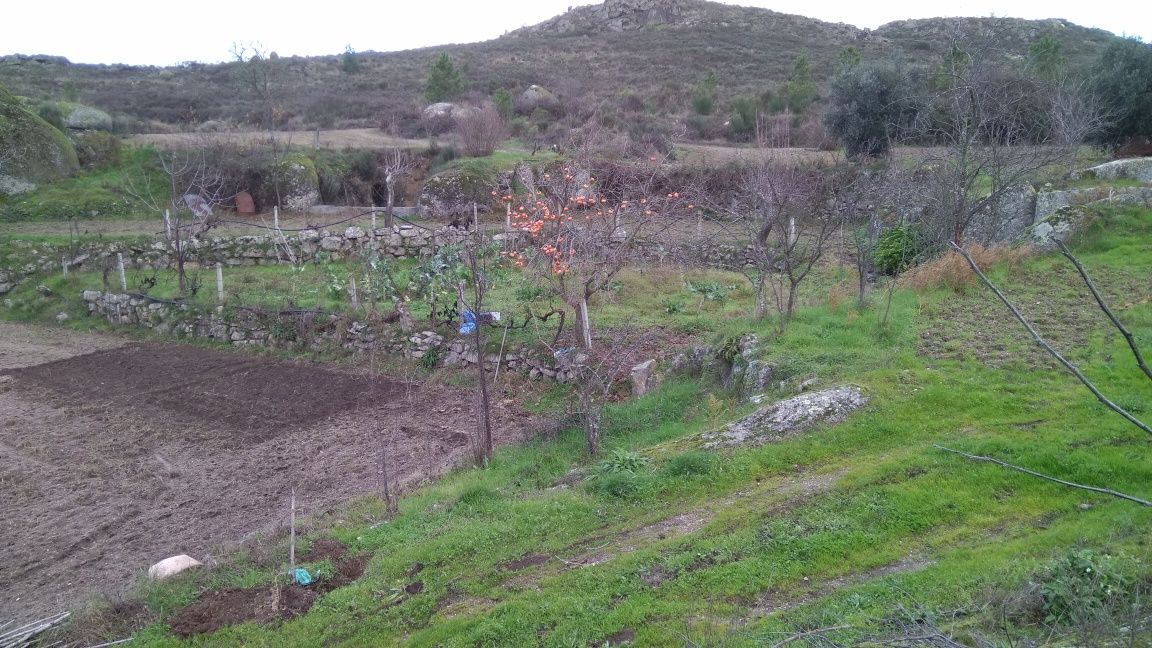 Quinta de st.domingos