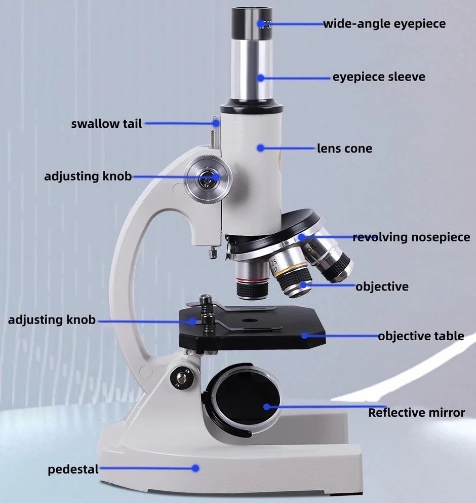 Mikroskop edukacyjny biologiczny
