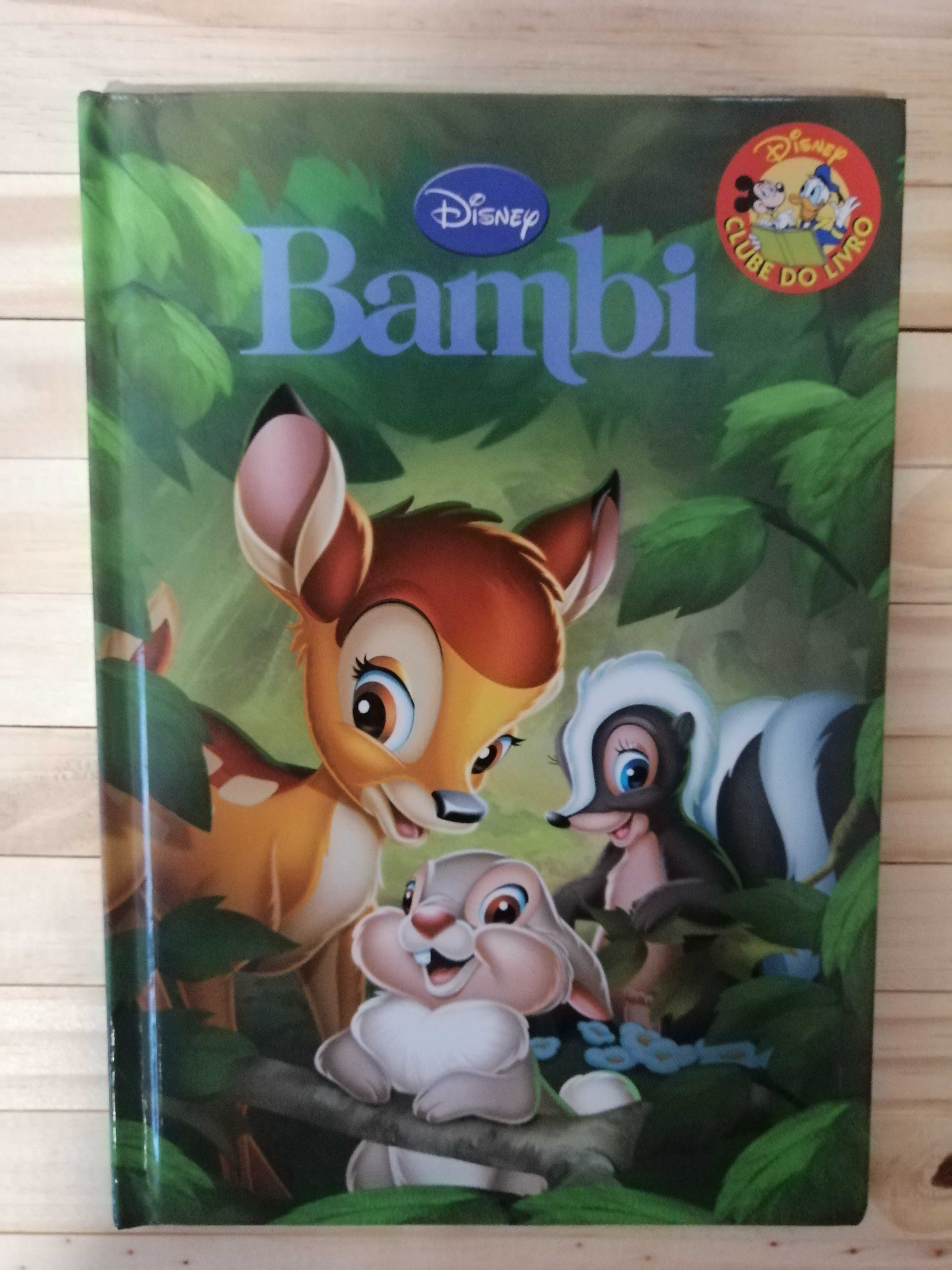 Conjunto de 12 Livros Disney infantil