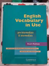 English Vocabulary in Use pre-intermediate A2 & intermediate B1 Cambri