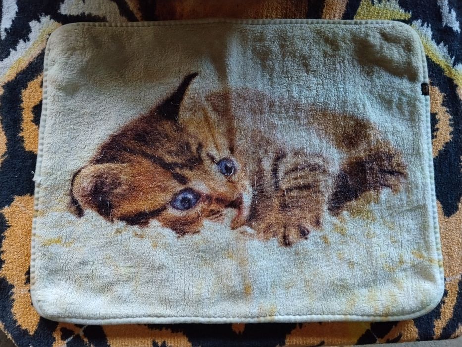 Casa de banho + Tapetes (Gato)