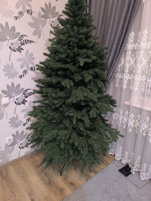 Продам ялинку Ковалівську литу