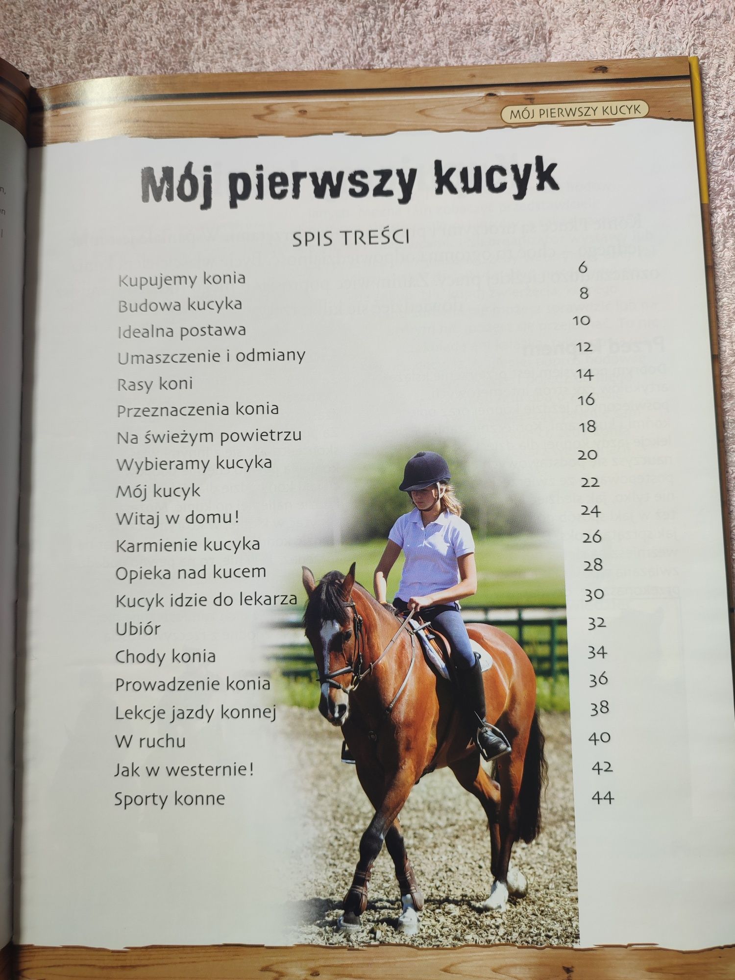 Zestaw książek o koniach i kucach