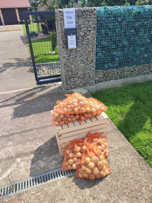 Sprzedam cebulę, prosto od producenta