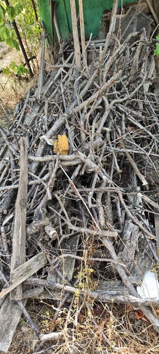 На дрова гілля(зріз з дерев)