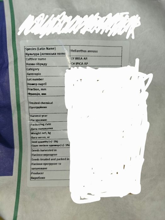 Насіння соняшнику ІРІСА СИНГЕНТА оригінал