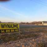 Wynajmę plac utwardzony