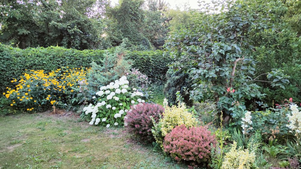 Działka ROD "Nad Jeziorem"