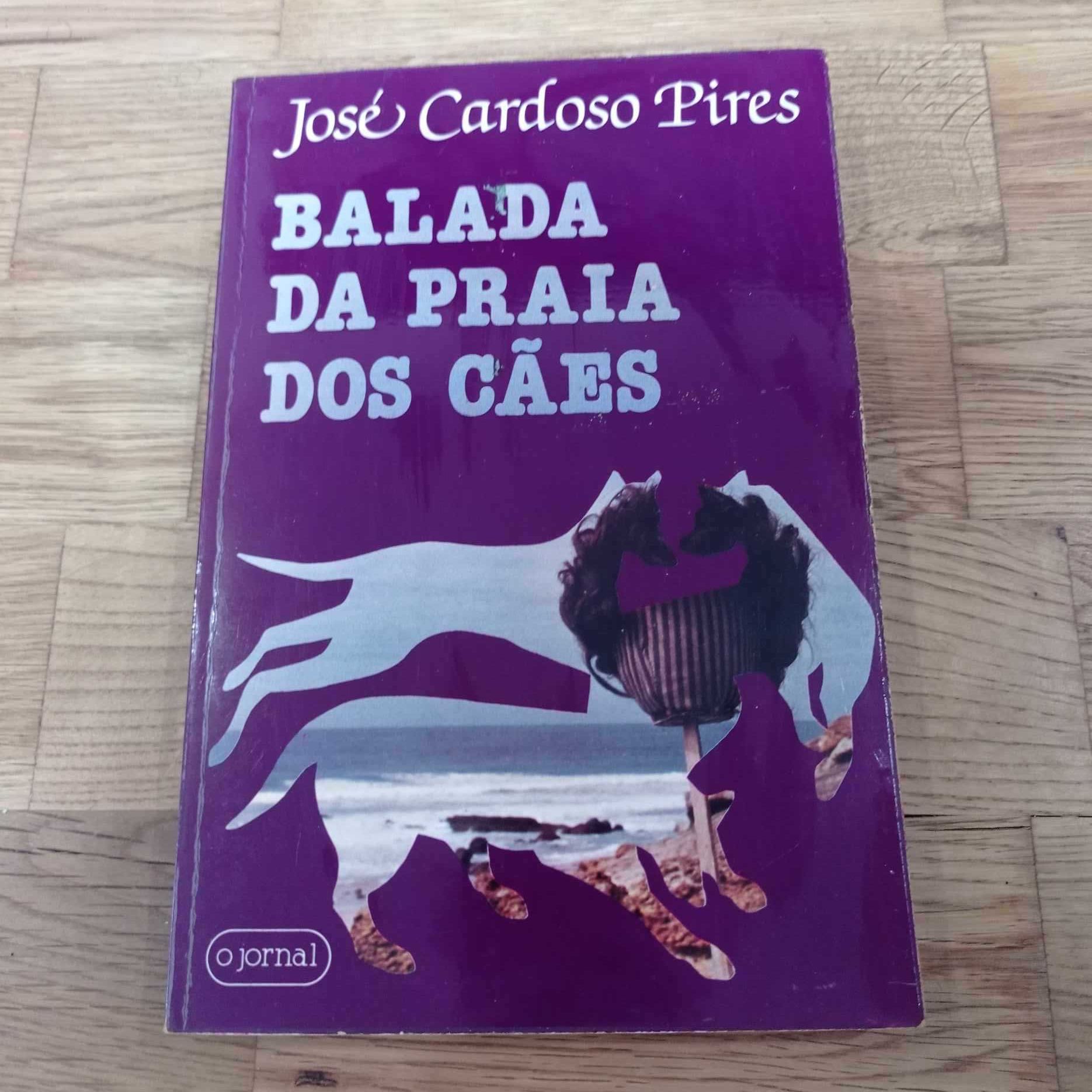 vendo livro balada da praia dos cães