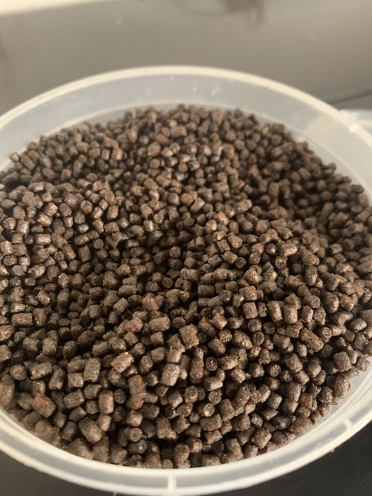 Ração de fundo para peixes  por kilo