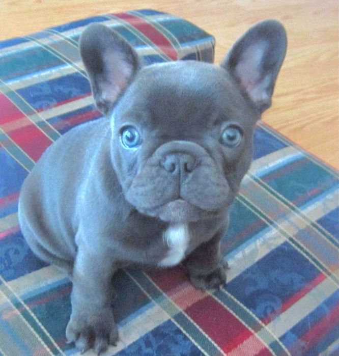 Міні дівчинка у Харкові