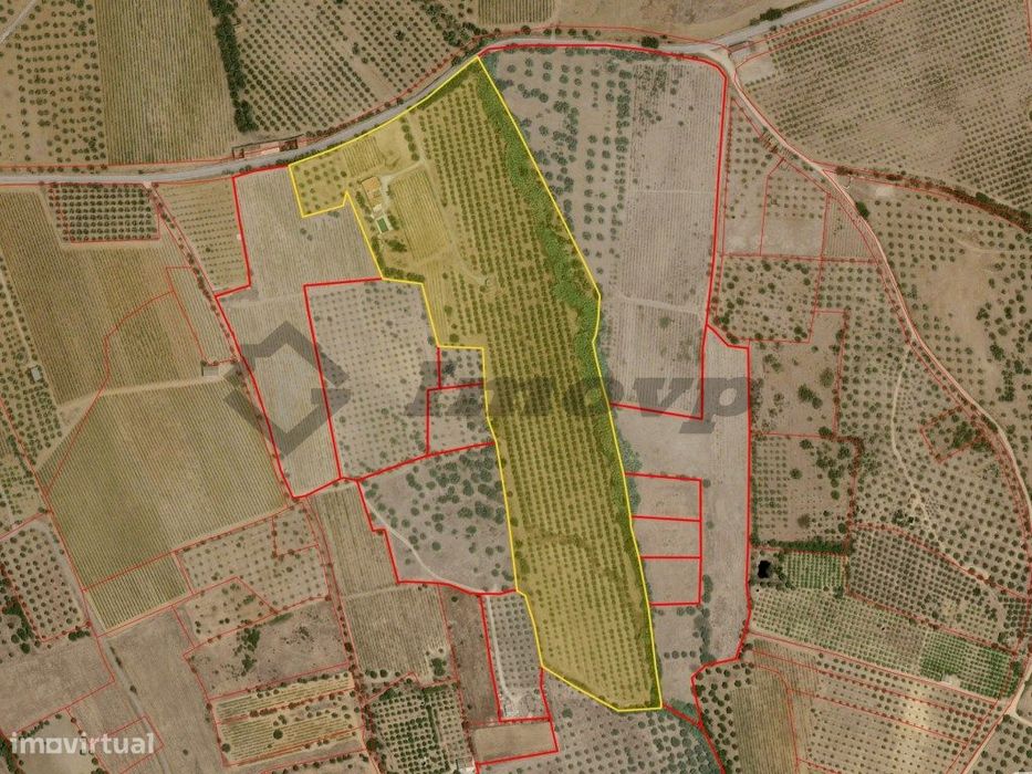 Quinta localizada a 1,5Km da Vidigueira